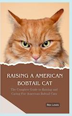 Raising a American Bobtail Cat