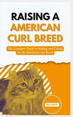 Raising a American Curl Breed