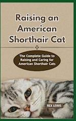 Raising a American Shorthair Cat