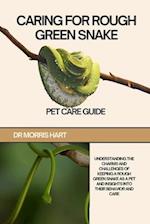 Caring for Rough Green Snake