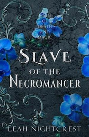 Slave of the Necromancer