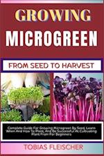 Growing Microgreen from Seed to Harvest