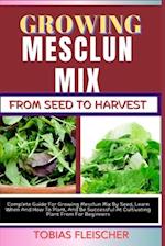 Growing Mesclun Mix from Seed to Harvest