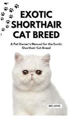 Exotic Shorthair Cat Breed