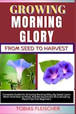 Growing Morning Glory from Seed to Harvest