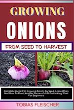 Growing Onions from Seed to Harvest