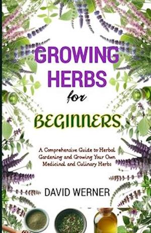 Growing herbs for beginners