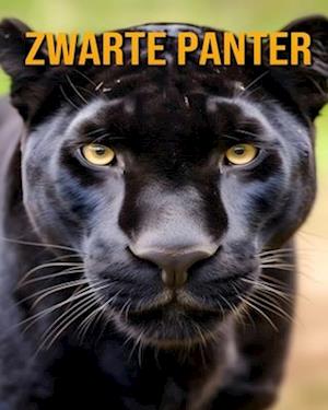 Zwarte Panter