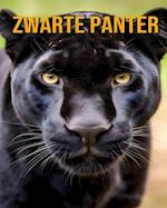 Zwarte Panter