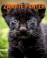 Zwarte Panter