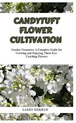 Candytuft Flower Cultivation