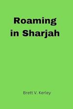 Roaming in SharjahRoaming in Sharjah