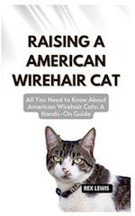 Raising a American Wirehair Cat