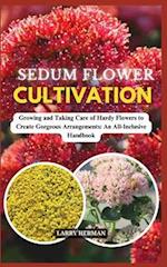 Sedum Flower Cultivation