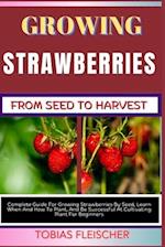 Growing Strawberries from Seed to Harvest
