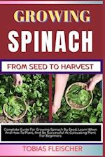 Growing Spinach from Seed to Harvest