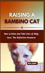 Raising a Bambino Cat