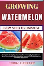 Growing Watermelon from Seed to Harvest