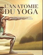 L'anatomie du yoga