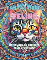 Fantastiques Felins