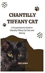 Chantilly Tiffany Cat