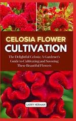 Celosia Flower Cultivation