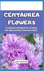 Centaurea Flowers