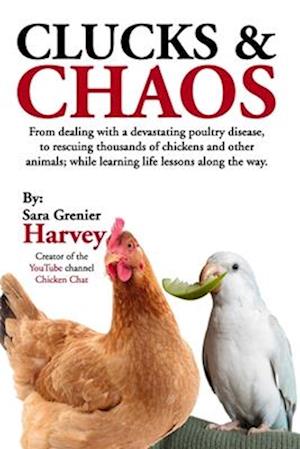 Clucks & Chaos