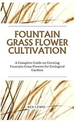 Fountain Grass Flower Cultivation