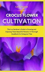 Crocus Flower Cultivation