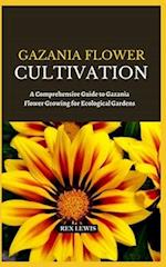 Gazania Flower Cultivation