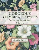 Gorgeous Climbing Flowers