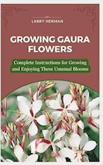 Growing Gaura Flowers
