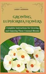 Growing Euphorbia Flowers