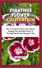 Dianthus Flower Cultivation
