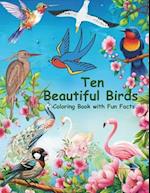 Beautiful Birds Coloring Book for Adults