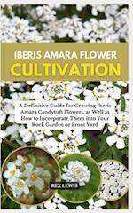 Iberis Amara Flower Cultivation