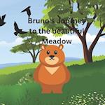 Bruno's Journey to the beautiful Meadow