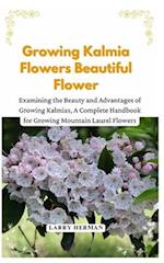 Growing Kalmia Flowers Beautiful Flower