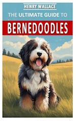 The Ultimate Guide to Bernedoodles