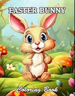 Easter Bunny Coloring Book