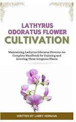 Lathyrus Odoratus Flower Cultivation