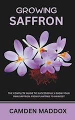 Growing Saffron