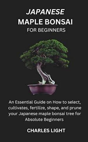 Japanese Maple Bonsai for Beginners