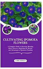 Cultivating Ipomoea Flowers