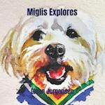 Miglis Explores South Africa