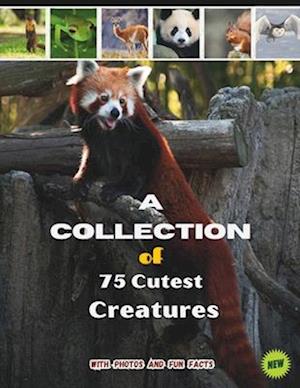 75 Cutest Animals of the Earth book for kids Astonishing Facts About Adorable Creatures,