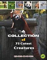 75 Cutest Animals of the Earth book for kids Astonishing Facts About Adorable Creatures,