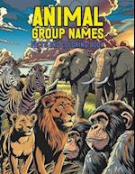 Animal Group Names Facts and Coloring Book