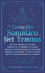 Curación Somática Del Trauma